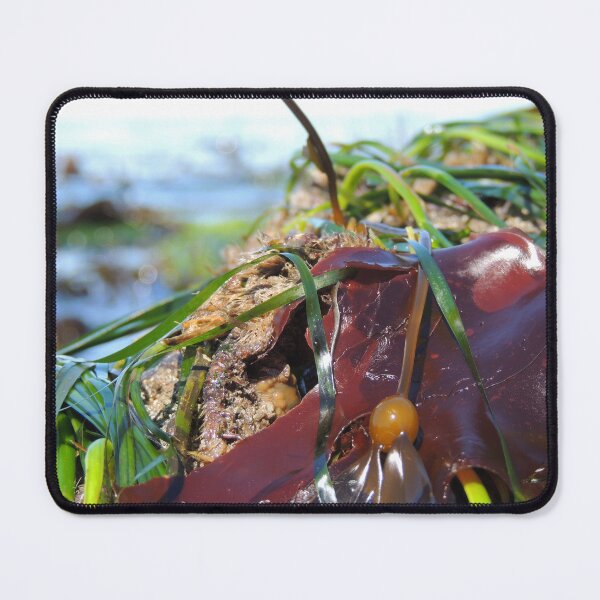 Item preview, In the (sea)weeds designed and sold by emarinelife.