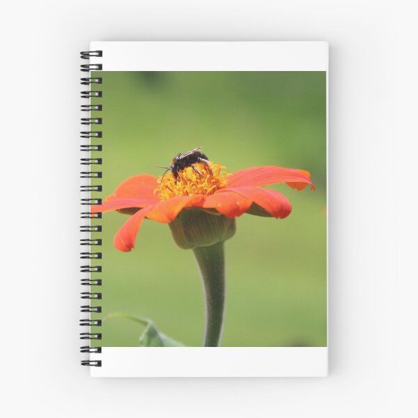 Item preview, bug and orange flower designed and sold by Beth Tidd.