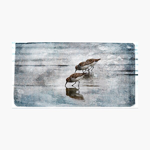 morning reflection Photographic Print
