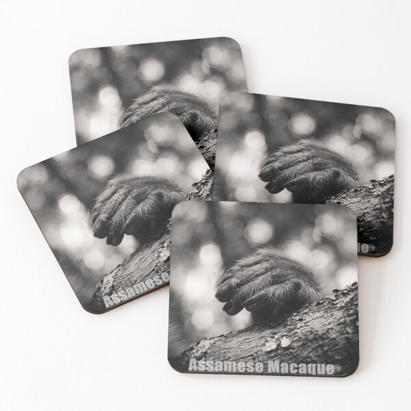 Item preview, Monkey Hand,Black and white photography,Assamese Macaque monkey designed and sold by Forest200220.