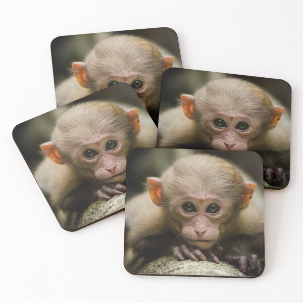Item preview, Cute Monkey  Canvas Print designed and sold by Forest200220.