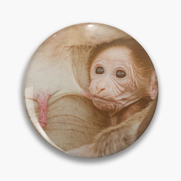 Item preview, cute baby monkey,assamese macaque monkey designed and sold by Forest200220.