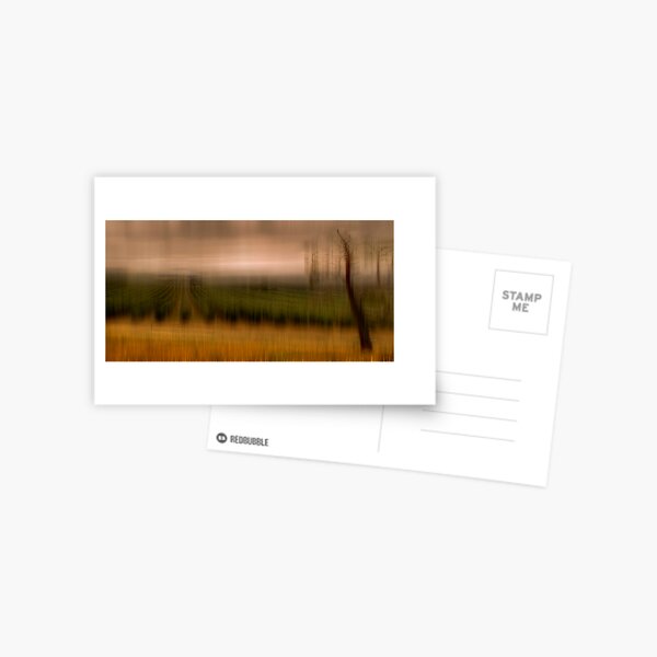 Dreaming of Olives Postcard