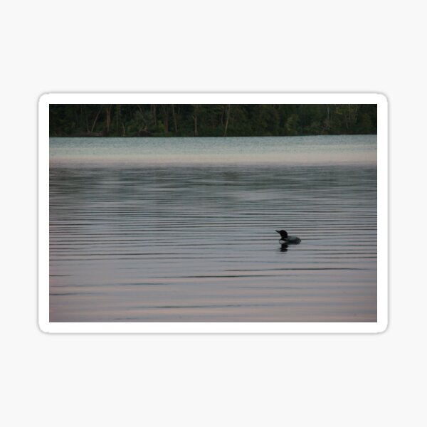 Loon on the Lake Sticker