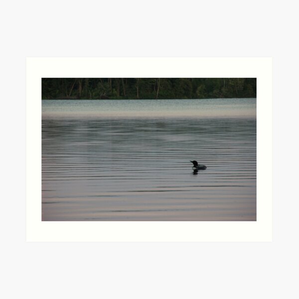 Loon on the Lake Art Print
