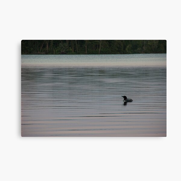Loon on the Lake Canvas Print