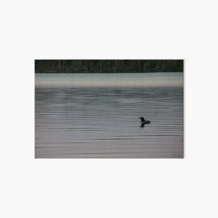 Loon on the Lake Art Board Print