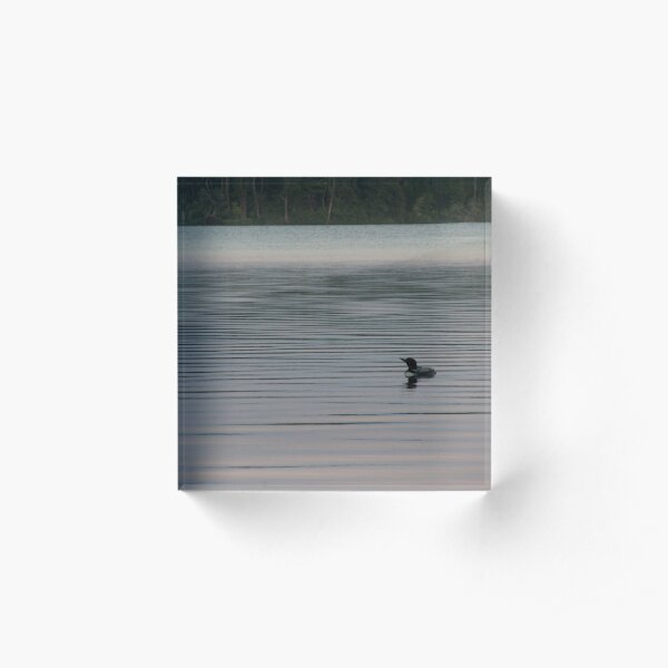 Loon on the Lake Acrylic Block