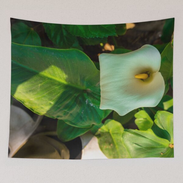 Item preview, Graceful Arum Lily: Elegant Floral Simplicity designed and sold by Afurikana.