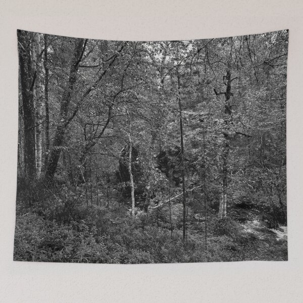 Item preview, Rapids. Siida 10 bw designed and sold by Jouko Lehto Photography.