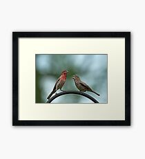 Yakety Yak Framed Print