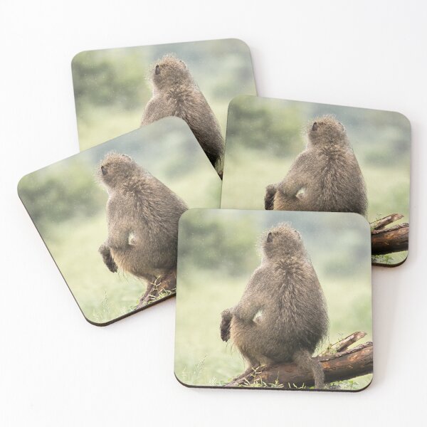Item preview, Philosopher Baboon designed and sold by MyAfricanSafari.