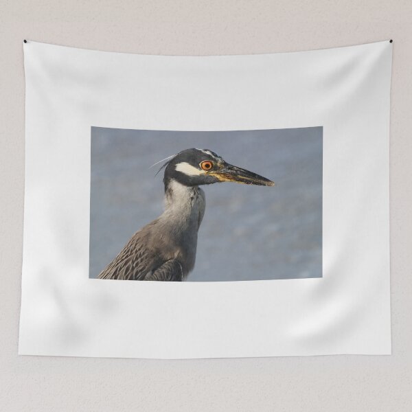 Item preview, Immature night heron during day designed and sold by Anthony Goldman.