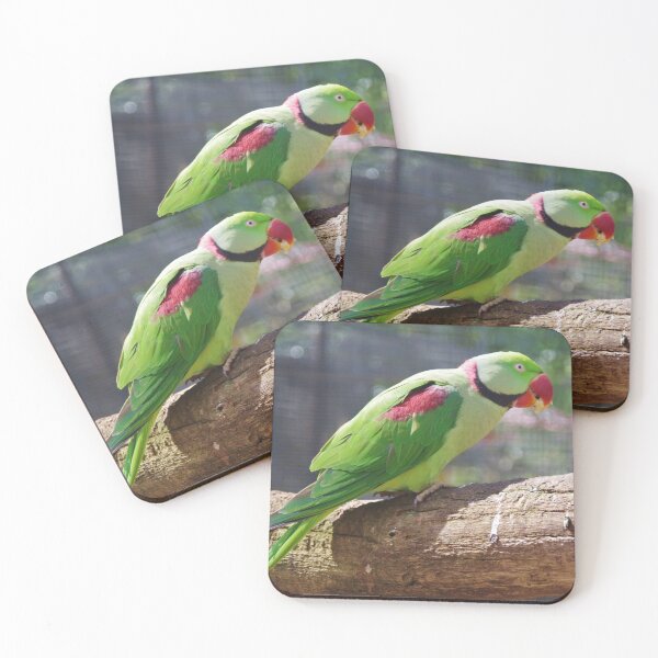 Item preview, Alexandrine Parakeet designed and sold by lezvee.