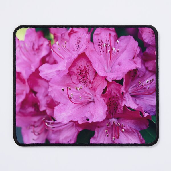 Item preview, Pink Azalea's  designed and sold by RT-FlowerShop.