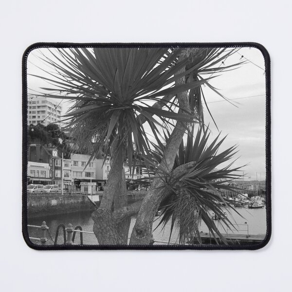 Item preview, Palm Tree In Black And White At Torquay Harbour Devon UK designed and sold by lezvee.