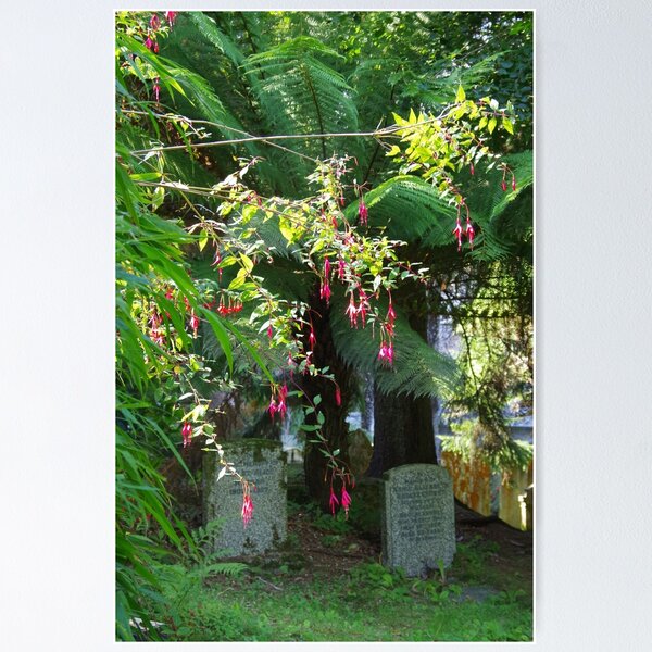Item preview, Gravestones In The Church Garden Cornwall UK designed and sold by lezvee.