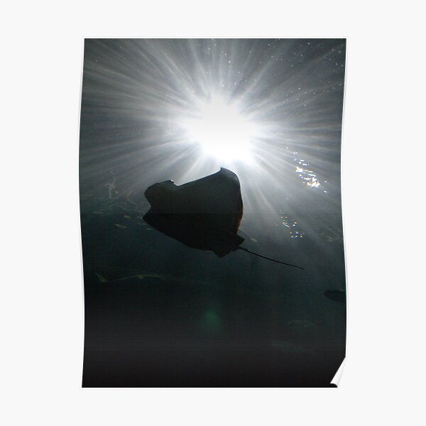 Catching Some Rays II Poster