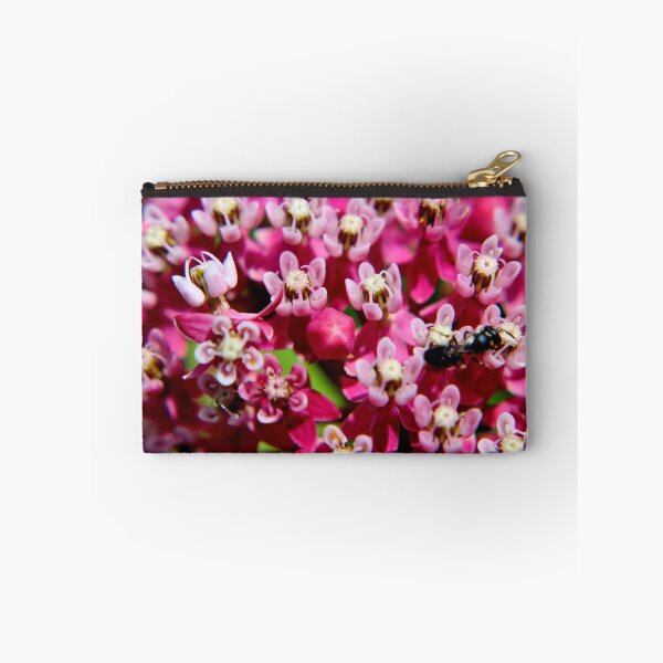 Item preview, Swamp Milkweed designed and sold by Kathleen Daley.