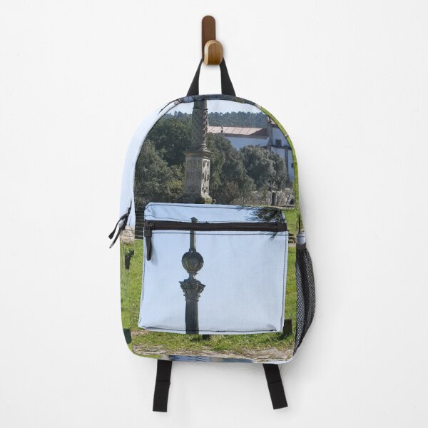 Item preview, The Monastery of St Martin of Tibaes is a monastery in the parish of Mire de Tibaes near Braga. Benedictine order. designed and sold by Maurizio Fabbroni.