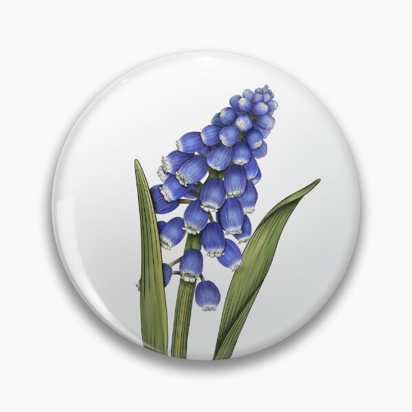 Artikelvorschau, Muscari (Traubenhyazinthe) entworfen und verkauft von TasiaZenzura.