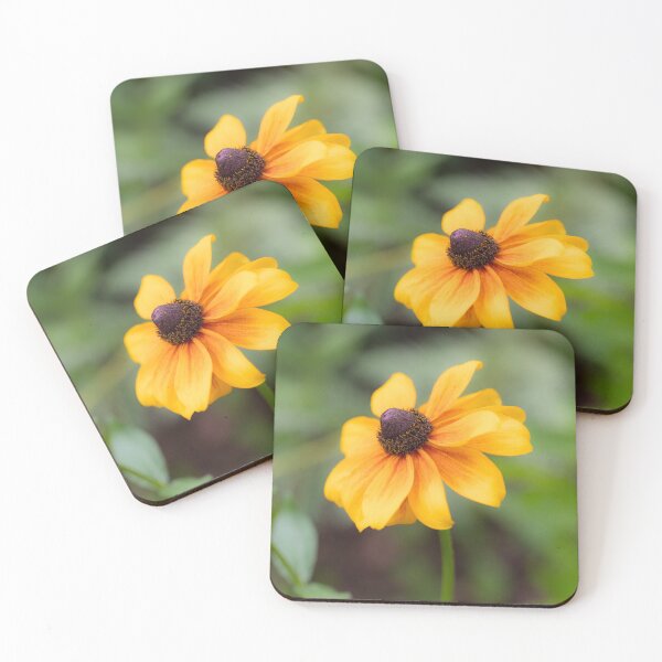 Aperçu de l'œuvre Rudbeckia doux créée et vendue par Tanya C Smith.