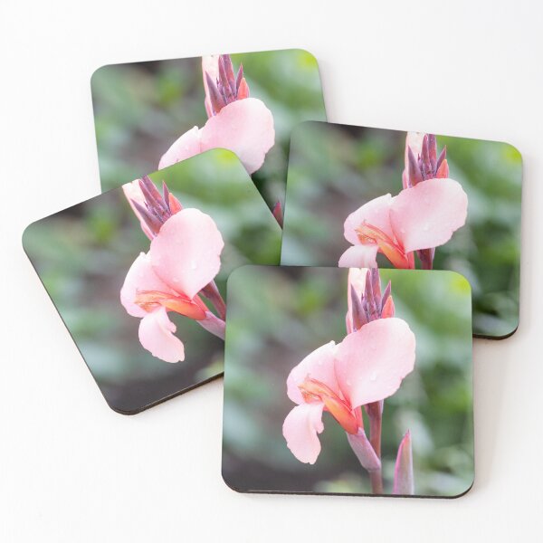 Item preview, Pink Canna Lily designed and sold by Tanya C  Smith.