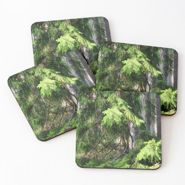 Item preview, Sunlight on spruce branches  designed and sold by bluerosesart37.