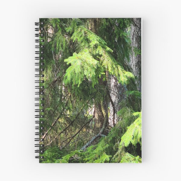 Item preview, Sunlight on spruce branches  designed and sold by bluerosesart37.