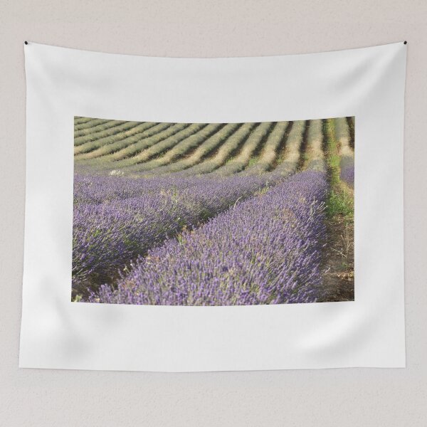Item preview, lavender field designed and sold by Fotoboom.