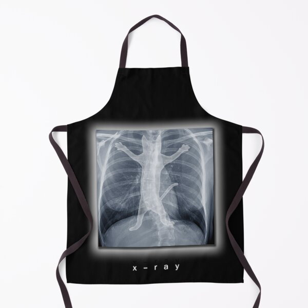 Aperçu de l'œuvre radiographie créée et vendue par tummeow.