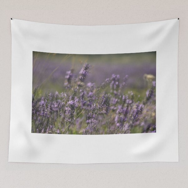 Item preview, lavender fields designed and sold by Fotoboom.