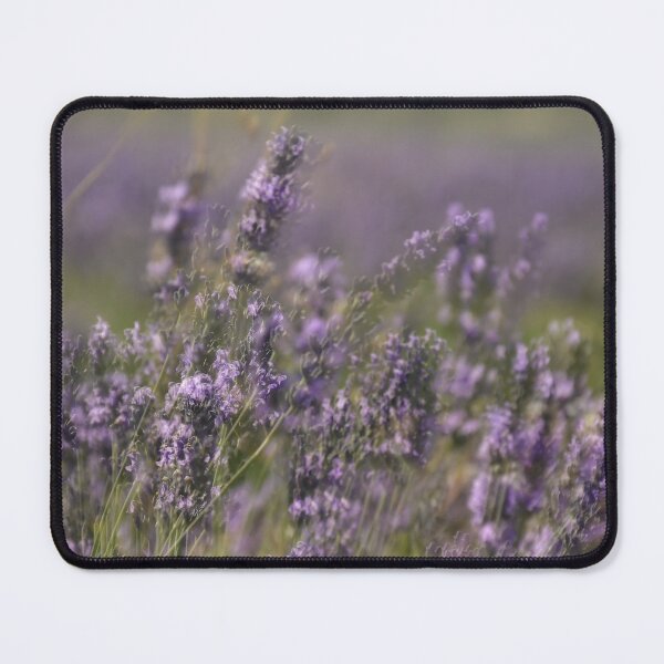 Item preview, lavender fields designed and sold by Fotoboom.