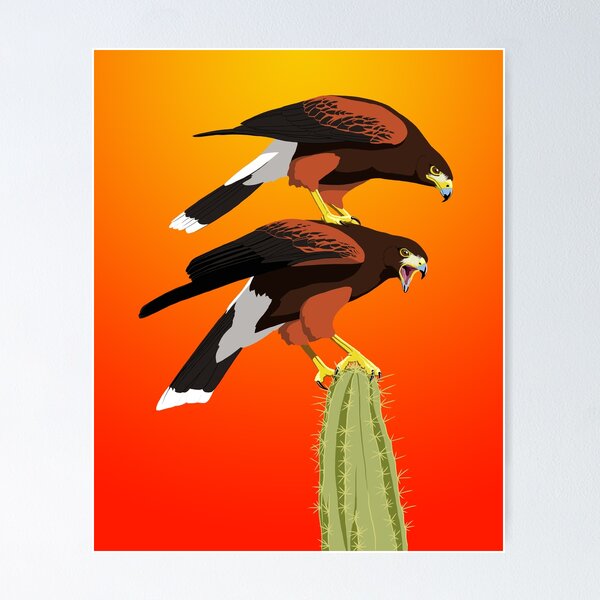 Item preview, Harris's Hawk designed and sold by BennuBirdy.