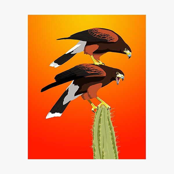 Item preview, Harris's Hawk designed and sold by BennuBirdy.
