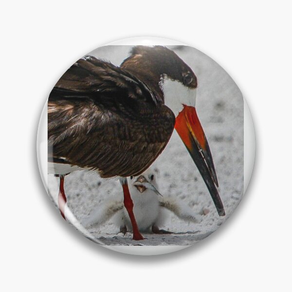 Item preview, Baby Black Skimmer designed and sold by jset75.