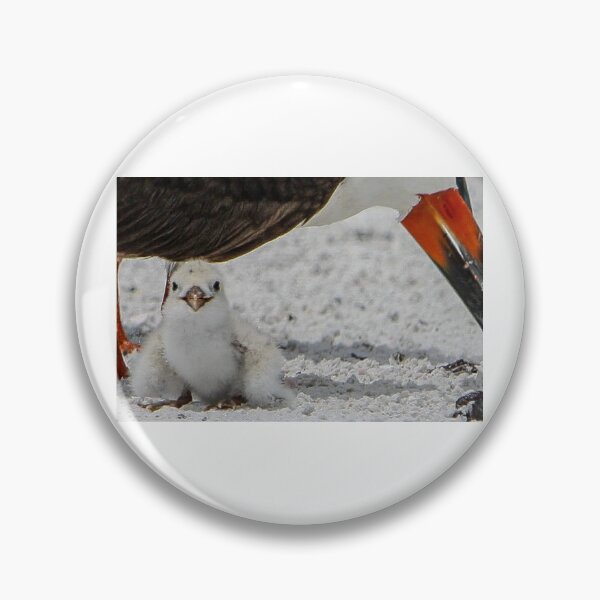 Item preview, Baby Black Skimmer designed and sold by jset75.