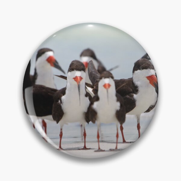 Item preview, Black Skimmers designed and sold by jset75.