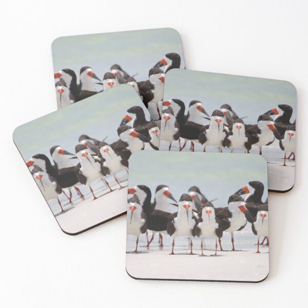 Item preview, Black Skimmers designed and sold by jset75.
