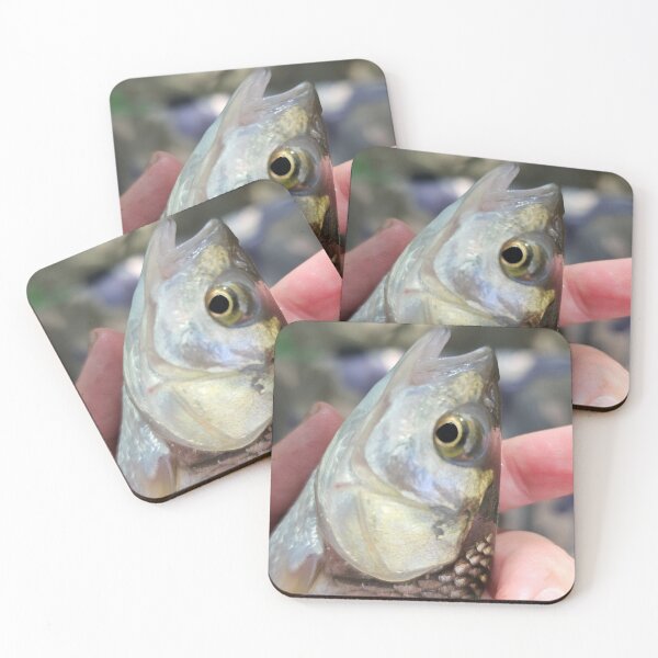 Item preview, Fishing chub designed and sold by mary02.