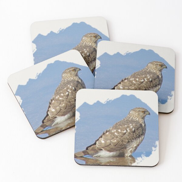 Item preview, Bird Photo Raptor Blue Water Young Hawk designed and sold by natureinfocus.