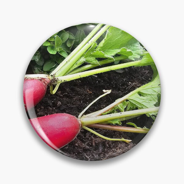 Item preview, Red radish designed and sold by mary02.