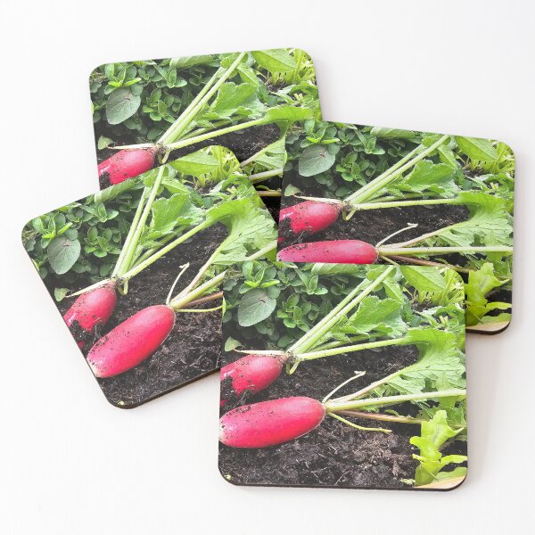 Item preview, Red radish designed and sold by mary02.