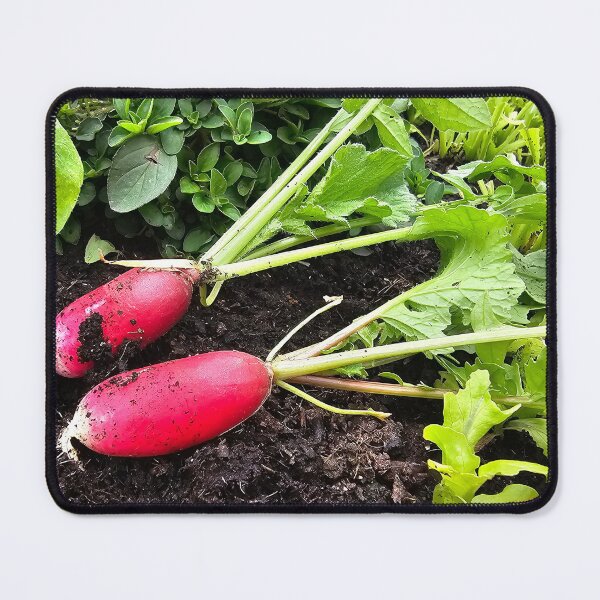 Item preview, Red radish designed and sold by mary02.
