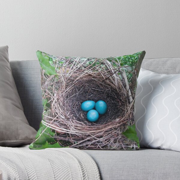 Item preview, Bird's Nest Three Blue Eggs designed and sold by ginawaltersdorf.