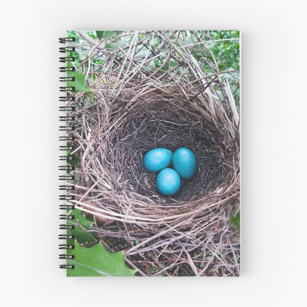 Item preview, Bird's Nest Three Blue Eggs designed and sold by ginawaltersdorf.