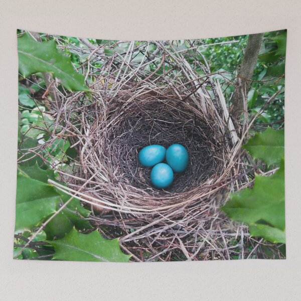 Item preview, Bird's Nest Three Blue Eggs designed and sold by ginawaltersdorf.
