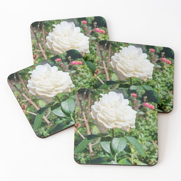 Item preview, White Rose designed and sold by doctorezzo.