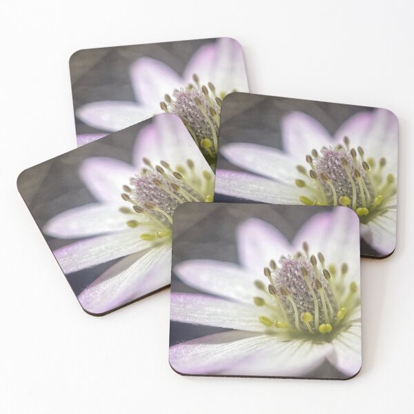 Item preview, Anemone designed and sold by Jason Tompkins.