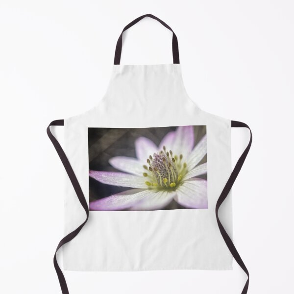 Item preview, Anemone designed and sold by Jason Tompkins.